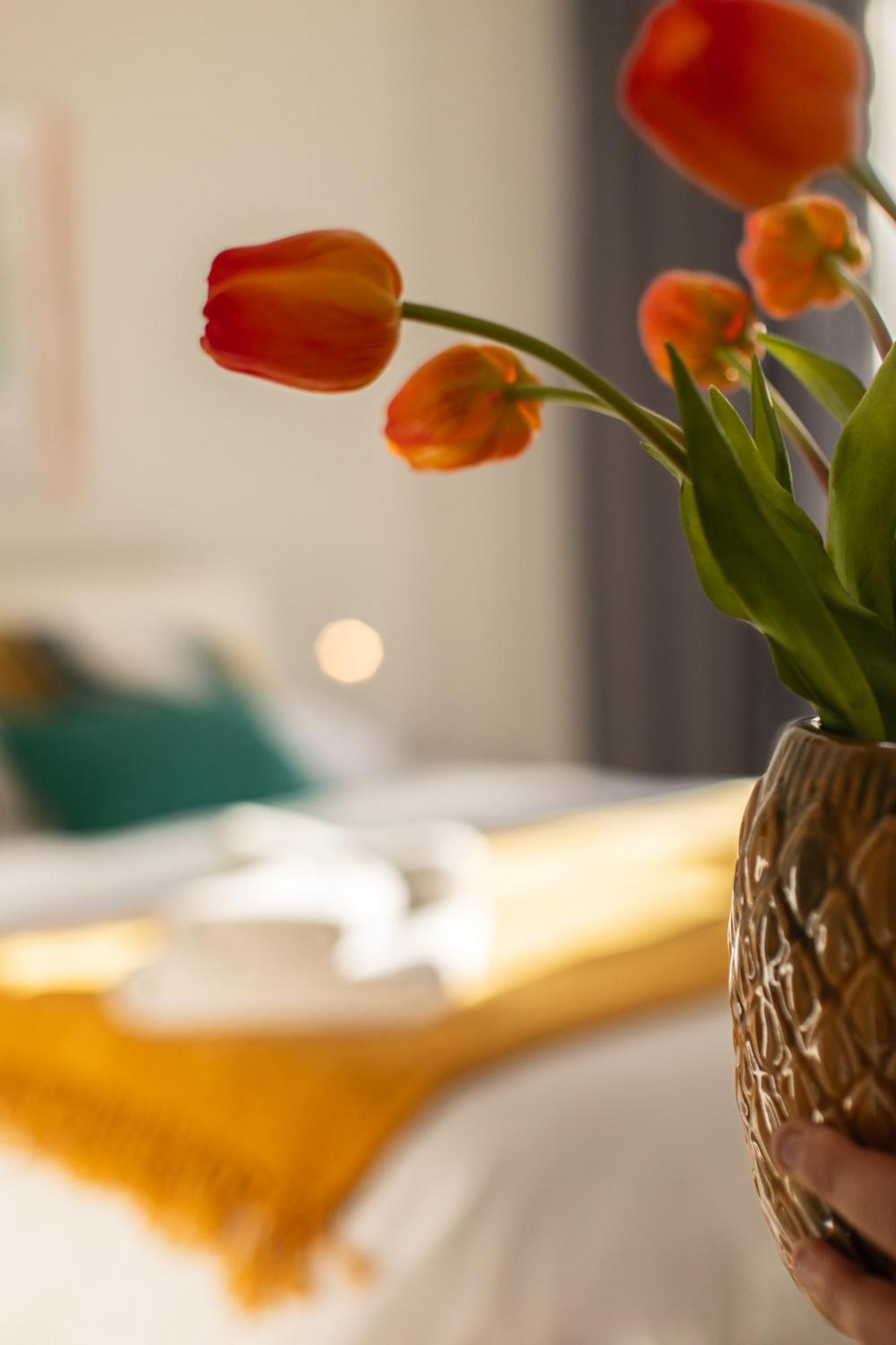 Veigas De Iria - Apartamento Turistico Vut Padrón Dış mekan fotoğraf