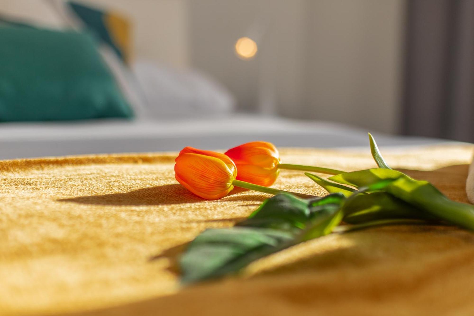 Veigas De Iria - Apartamento Turistico Vut Padrón Dış mekan fotoğraf